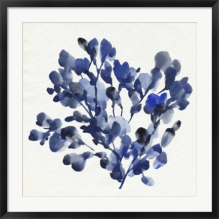 Framed Cobalt Blossom II Print