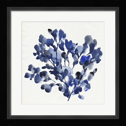 Framed Cobalt Blossom II Print