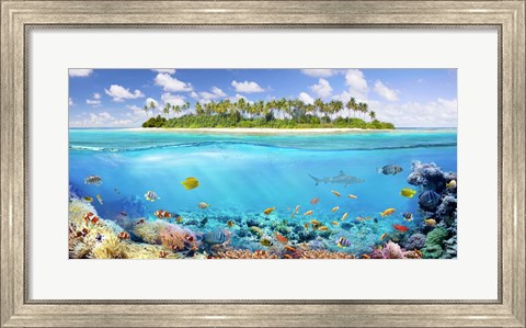 Framed Coral Reef Print