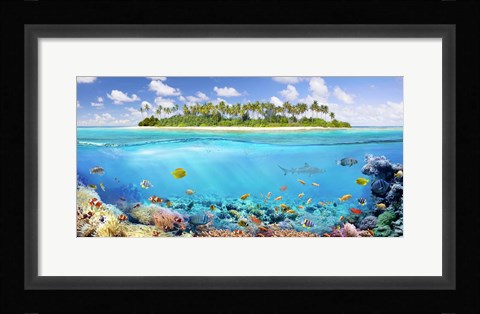 Framed Coral Reef Print