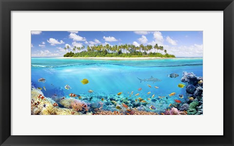 Framed Coral Reef Print