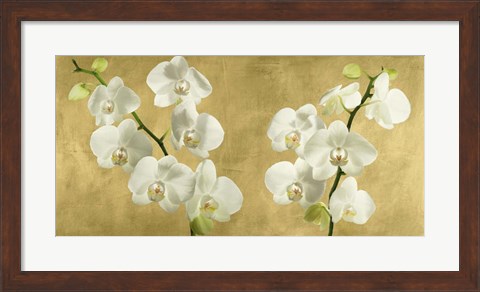 Framed Orchids on a Golden Background Print