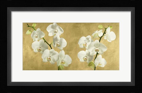 Framed Orchids on a Golden Background Print