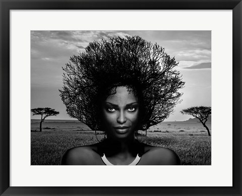 Framed Serengeti Queen Print