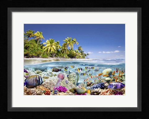 Framed Underwater life Print