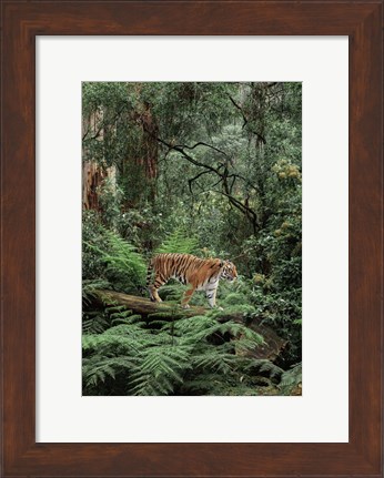 Framed In the Jungle Print