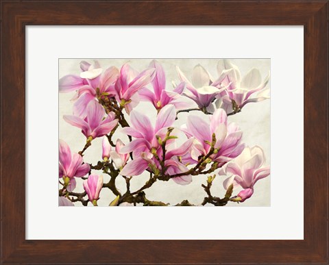 Framed Magnolia Branch (neutral) Print