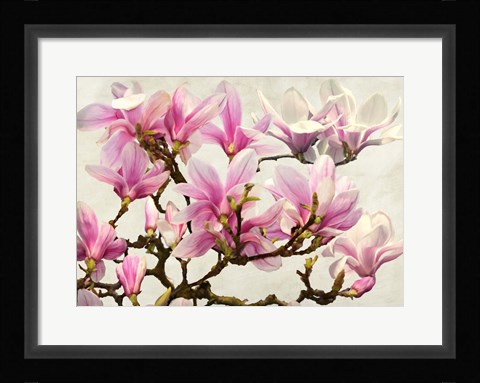 Framed Magnolia Branch (neutral) Print