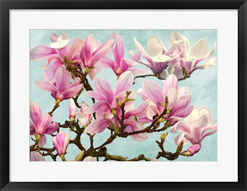 Framed Magnolia Branch (turquoise) Print