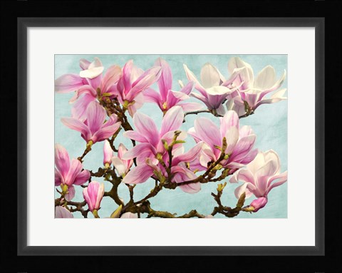 Framed Magnolia Branch (turquoise) Print