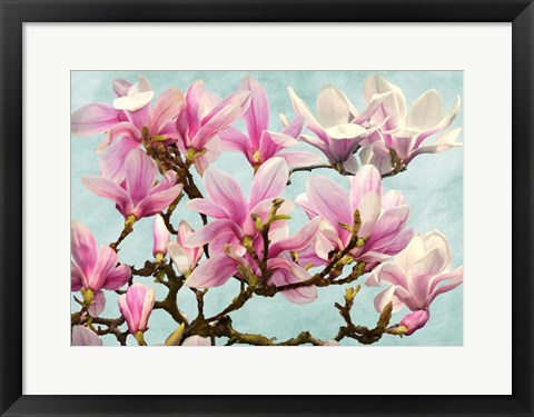 Framed Magnolia Branch (turquoise) Print