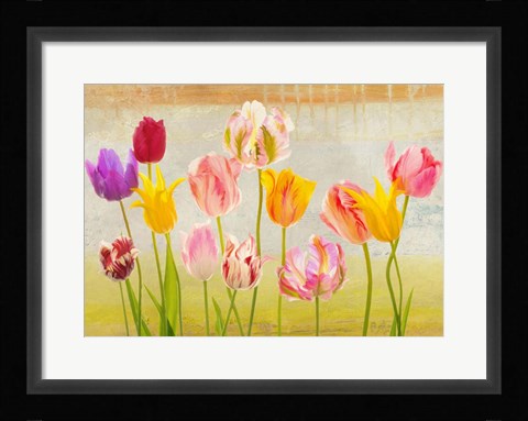 Framed Tulipani d'estate Print
