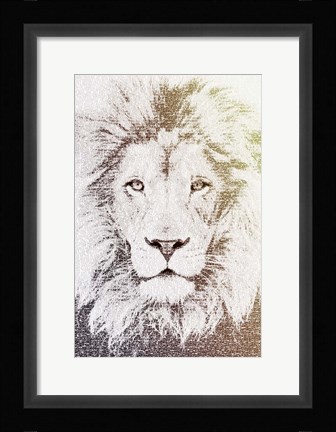 Framed Lion Print