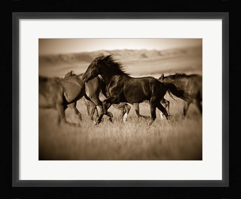 Framed Dark Horse Print