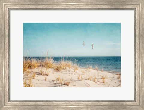 Framed Beach &amp; Gulls Print