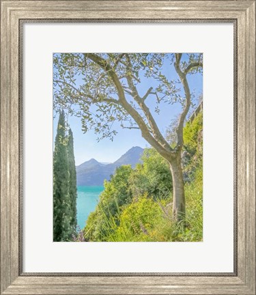 Framed Lago di Como View No. 2 Print