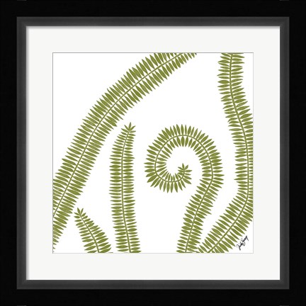 Framed Curly Fern Print