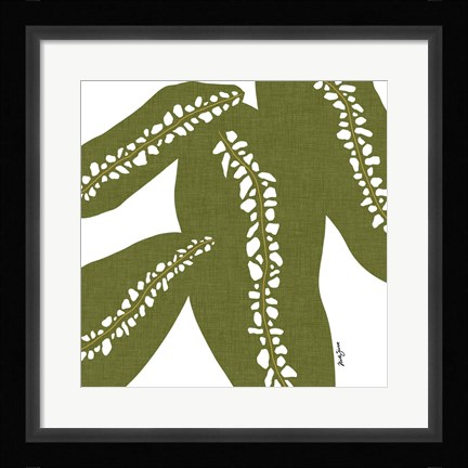 Framed Rhaphido Print