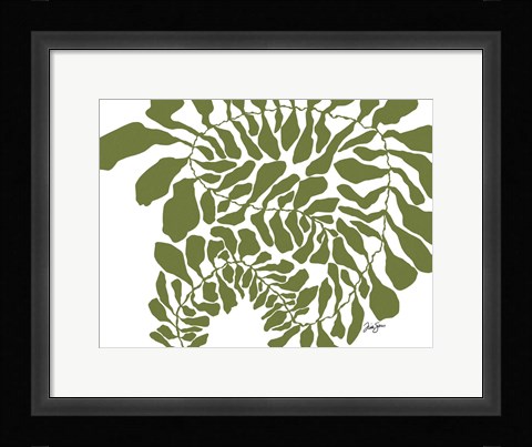 Framed Spiralina Print