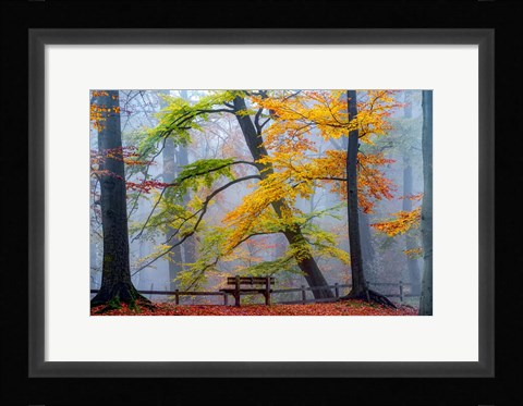 Framed Take A Seat And Enjoy Print