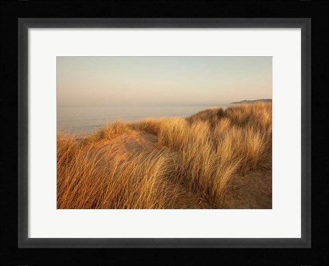 Framed Dunes with Seagulls 7 Print