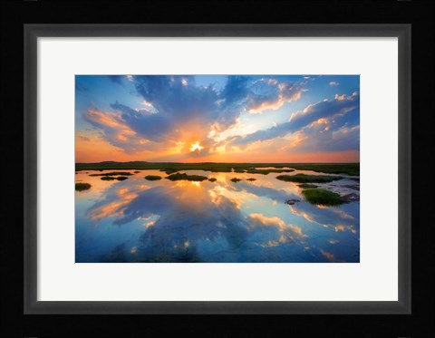 Framed Plum Island Print