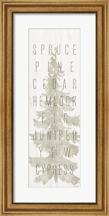 Framed Pine Types Print