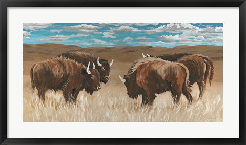 Framed Bison Herd II Print