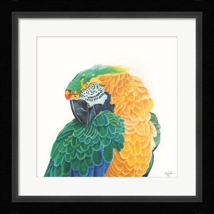 Framed Coyness Print