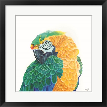 Framed Coyness Print