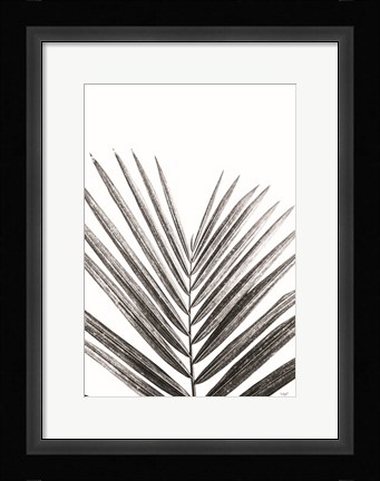 Framed Leaf Study V Print