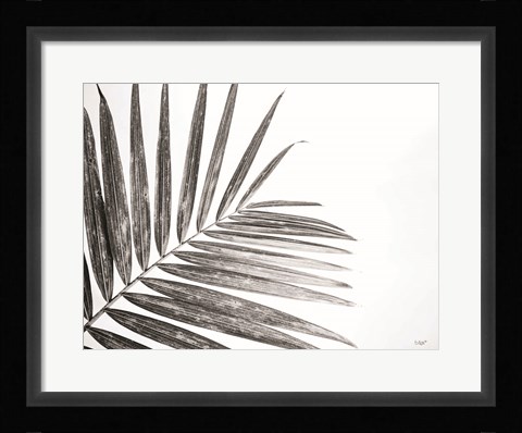 Framed Leaf Study VI Print