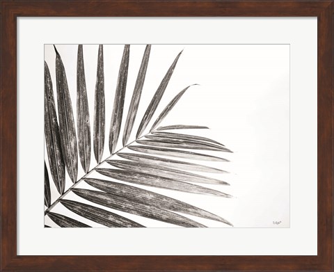 Framed Leaf Study VI Print