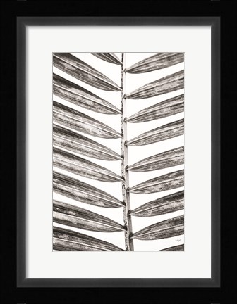 Framed Leaf Study VII Print