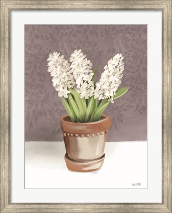 Framed House Hyacinth Plant Print