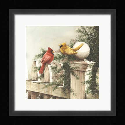 Framed Fence Sitters Print