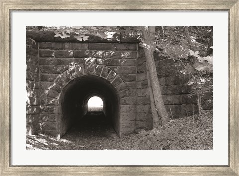 Framed Juniata Tunnel Print