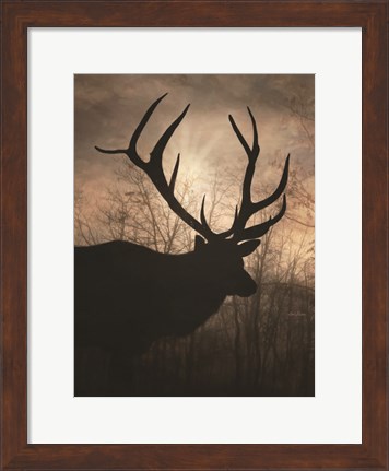 Framed Elk Sunrise I Print