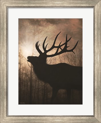 Framed Elk Sunrise II Print