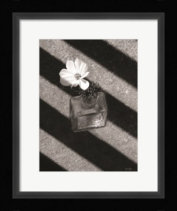 Framed Cosmos and Shadows Print