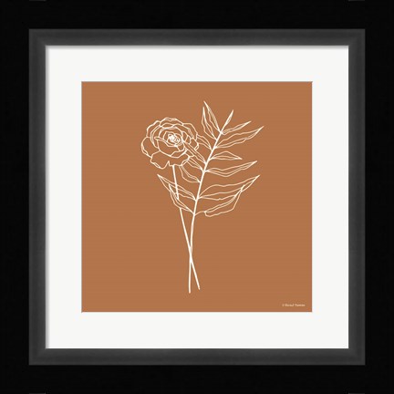 Framed White Floral Line Drawing Print