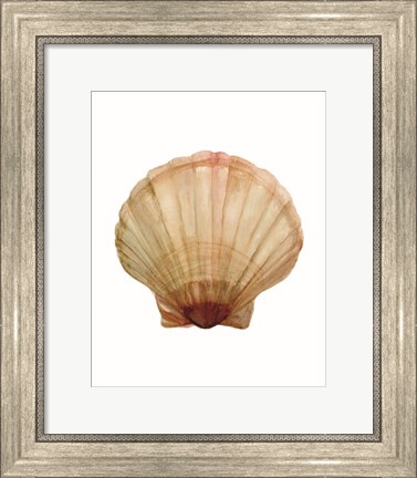 Framed Neutral Shell Collection 2 Print