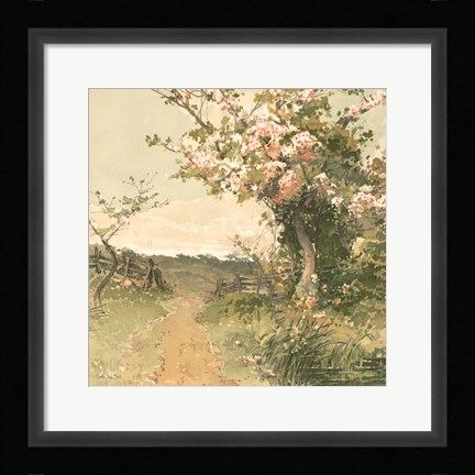 Framed Country Pond 5 Print