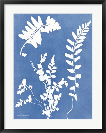 Framed Blue Botanical II Print