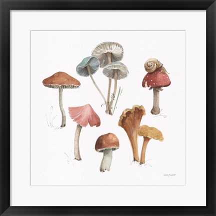 Framed Mushroom Medley 02 Print