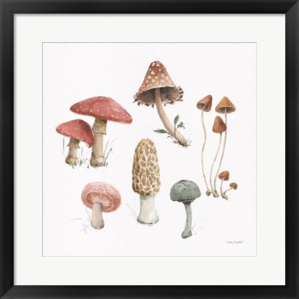 Framed Mushroom Medley 03 Print