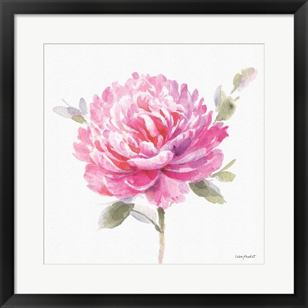 Framed Obviously Pink 03A Print