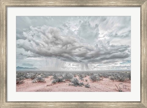 Framed New Mexico Rain Print