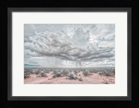 Framed New Mexico Rain Print