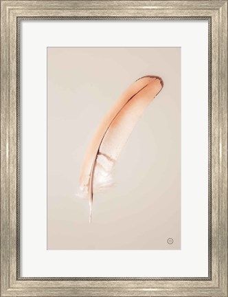 Framed Floating Feathers III Print